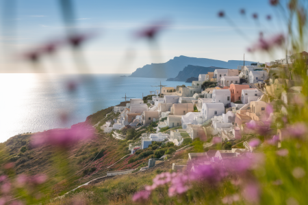 mochlos-village-crete-mer-fleurs