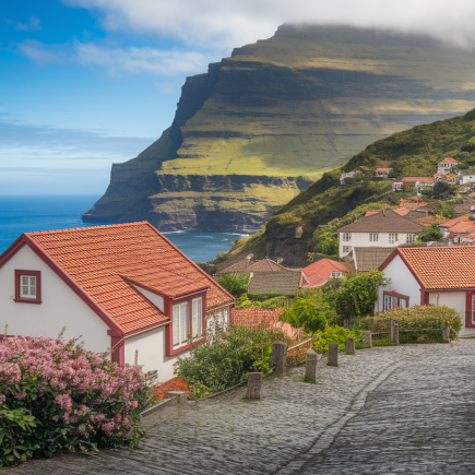 village-madeira-fleurs-falaises-ocean